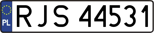 RJS44531