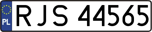 RJS44565