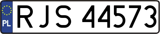 RJS44573