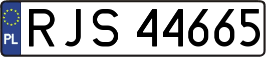 RJS44665