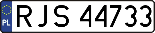 RJS44733