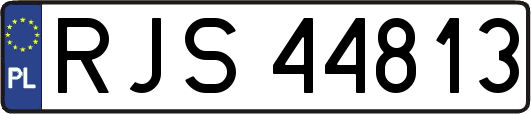RJS44813