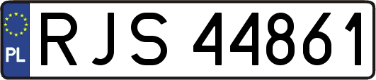 RJS44861