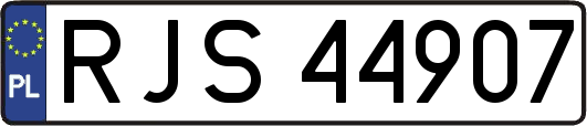 RJS44907