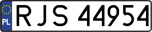 RJS44954