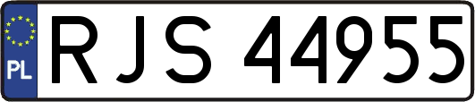 RJS44955