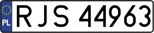RJS44963