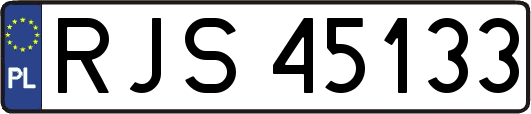 RJS45133