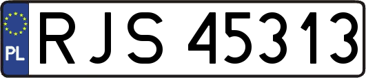 RJS45313