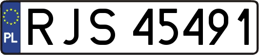 RJS45491