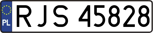 RJS45828