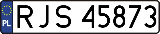 RJS45873