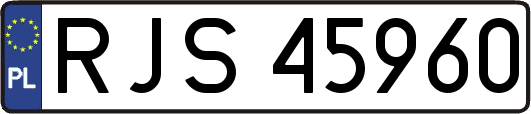 RJS45960
