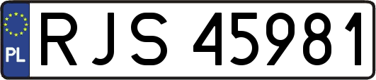 RJS45981