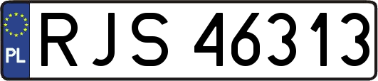 RJS46313