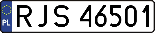 RJS46501