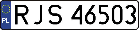RJS46503