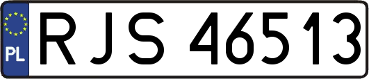 RJS46513