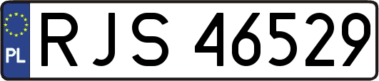 RJS46529