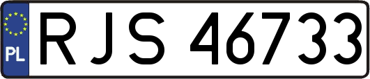RJS46733