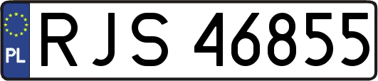 RJS46855