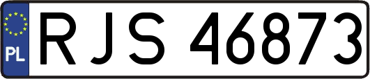 RJS46873