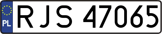 RJS47065