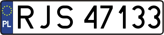 RJS47133