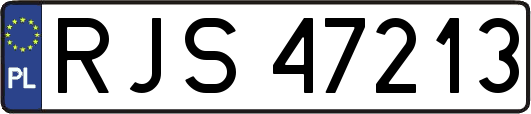 RJS47213
