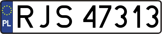 RJS47313