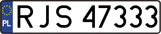 RJS47333