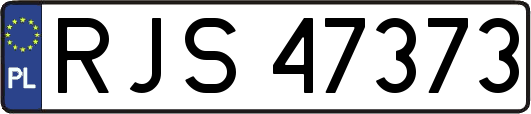 RJS47373