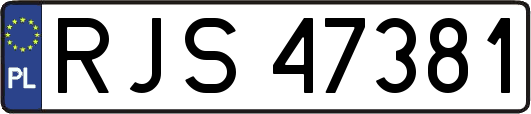 RJS47381