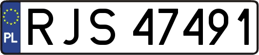 RJS47491