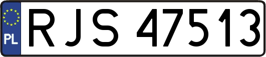RJS47513