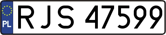 RJS47599