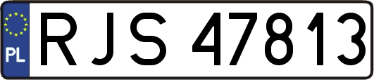 RJS47813
