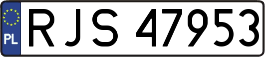 RJS47953