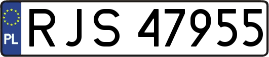 RJS47955