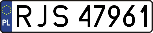 RJS47961