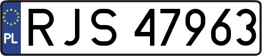RJS47963