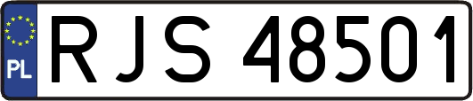 RJS48501