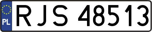 RJS48513