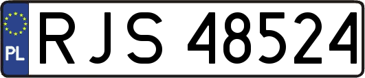RJS48524