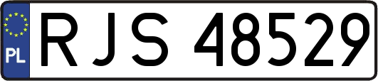 RJS48529