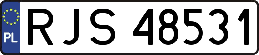 RJS48531
