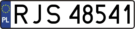 RJS48541