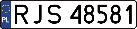 RJS48581