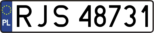 RJS48731