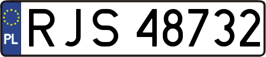RJS48732